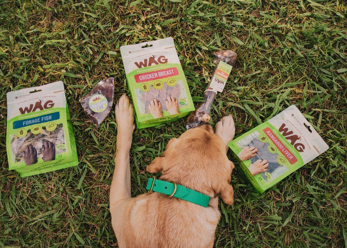 The Environmental Impact of Dog Treats