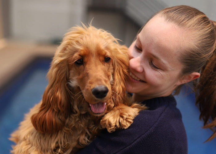 What to do if your dog is allergic to kangaroo