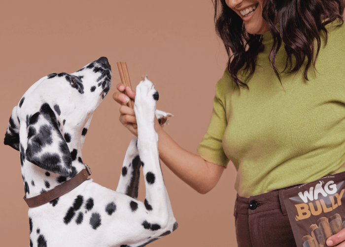 Chews wisely: Beef tendons vs bully sticks compared