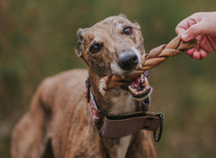 Unleash the Goodness: The Wonders of Beef Collagen Sticks for Dogs