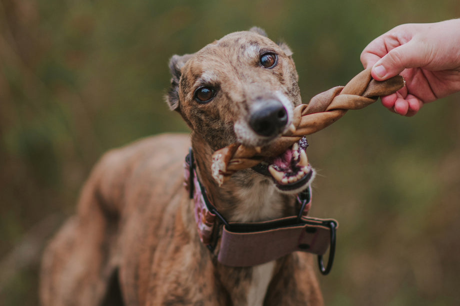 Unleash the Goodness: The Wonders of Beef Collagen Sticks for Dogs