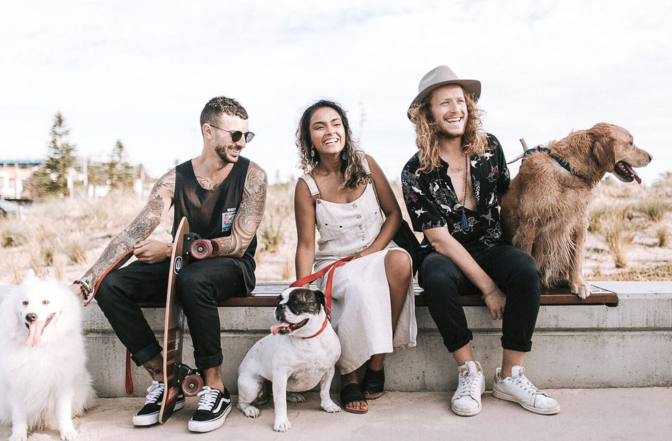 First Time Dog-Parents: What Type Of Dog Is Best For Me?