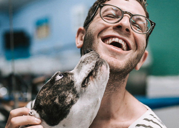 Why Do Dogs Lick You? The Reasons Behind the Slurp