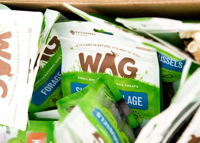 3 ways to reduce your carbon footprint when it comes to dog treats