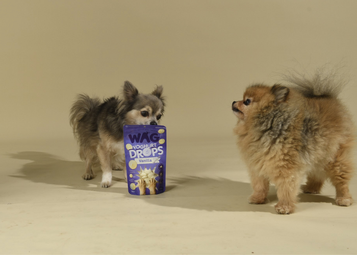 Can dogs eat yoghurt drops?