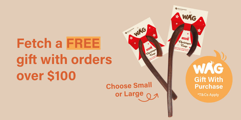 Spend over $100 and receive a gift valued $12.99