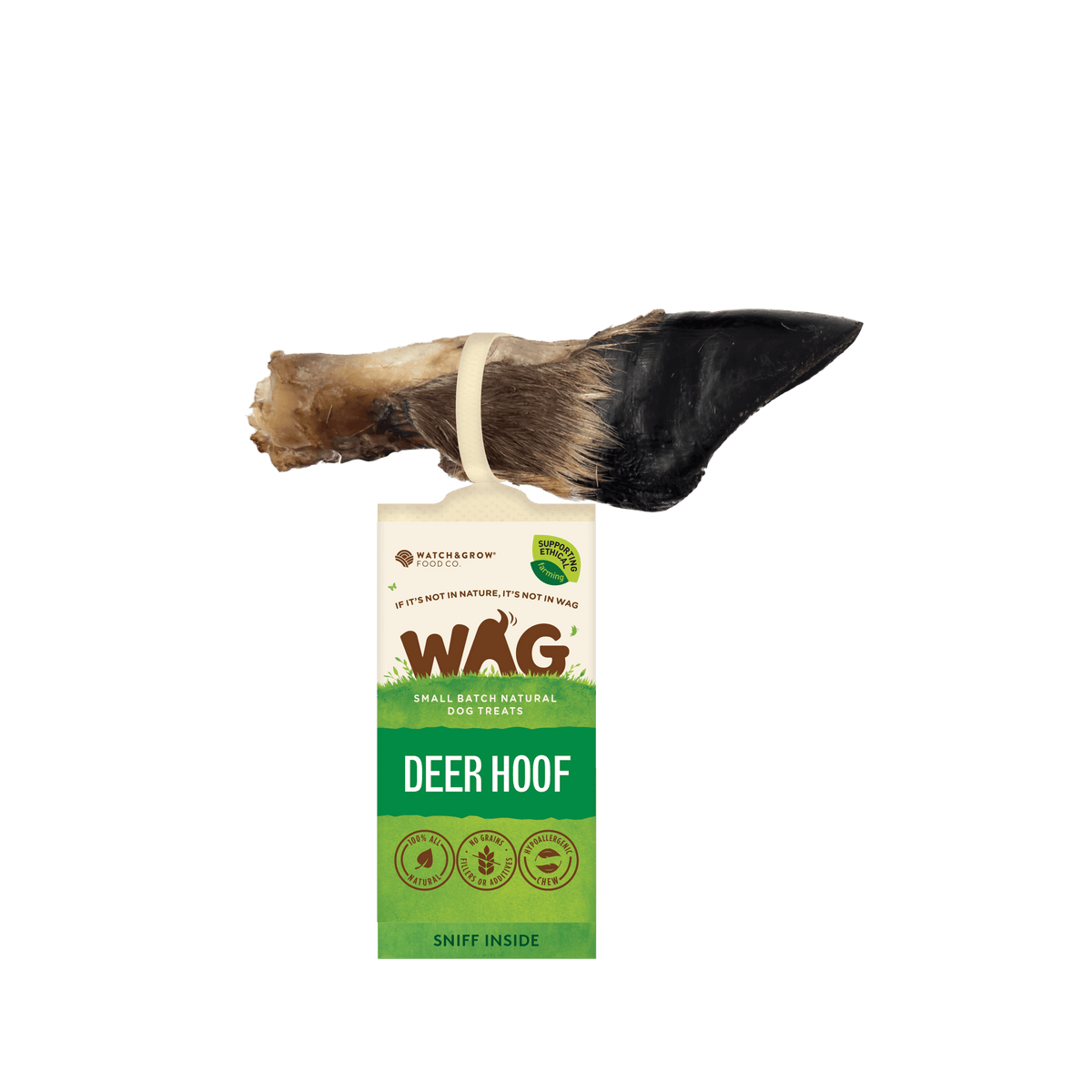Buy Deer Hoof for Dogs Online WAG Dog Treats Australia