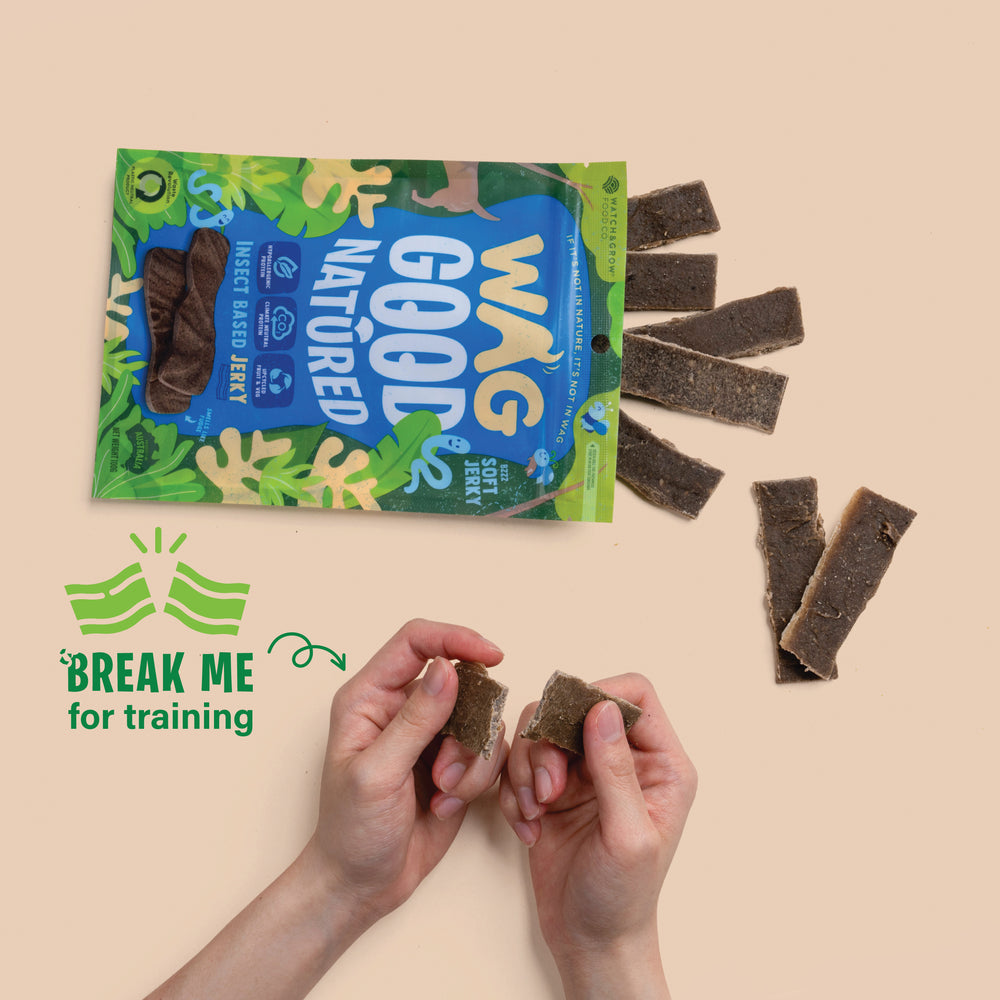 Insect Based Jerky