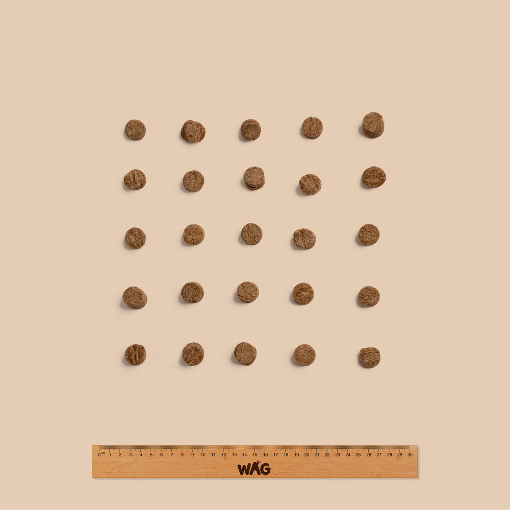 Novel Protein Pack
