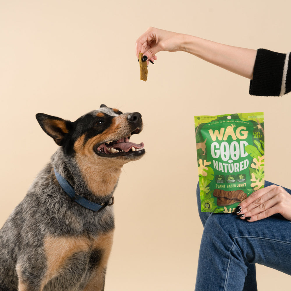 Plant Based Jerky