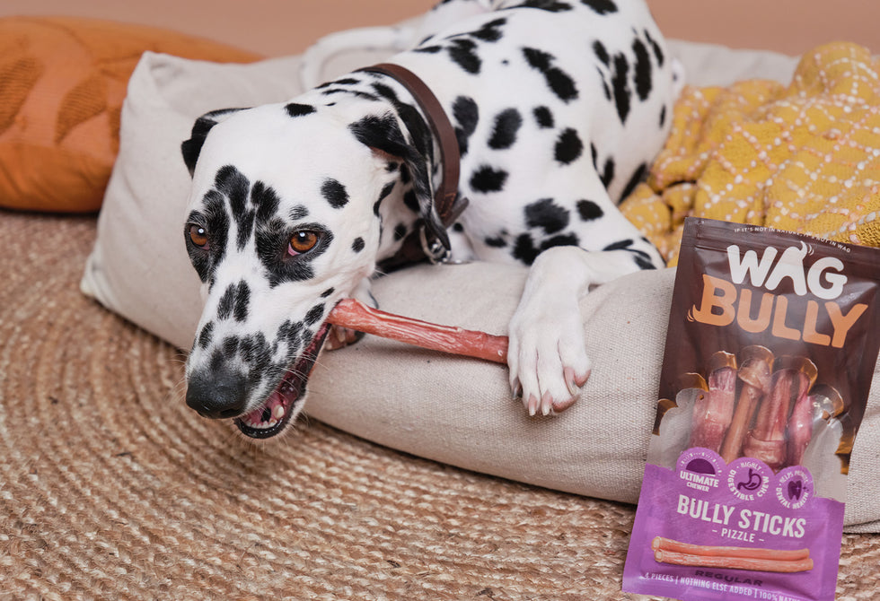 WAG Bully Sticks for Dogs