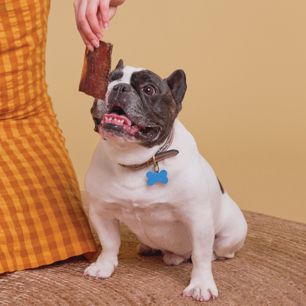 Not for jerks,
just for dogs!