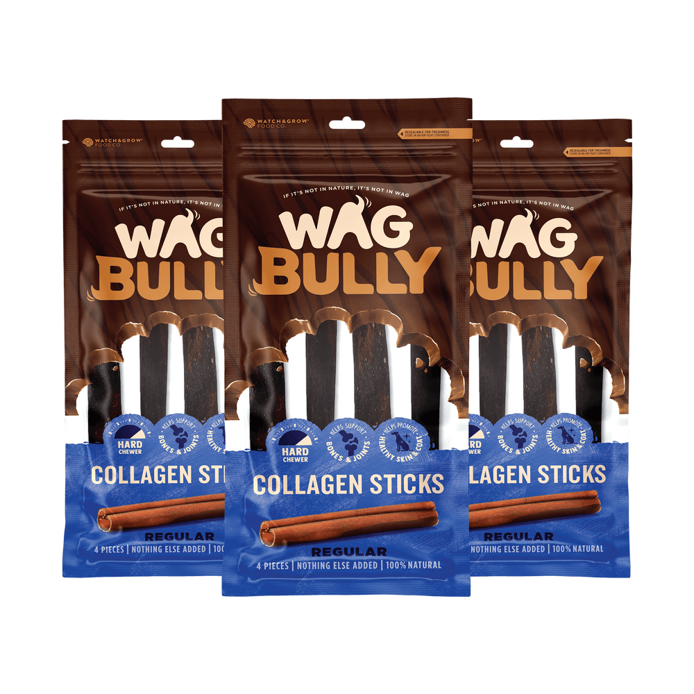 Collagen Sticks