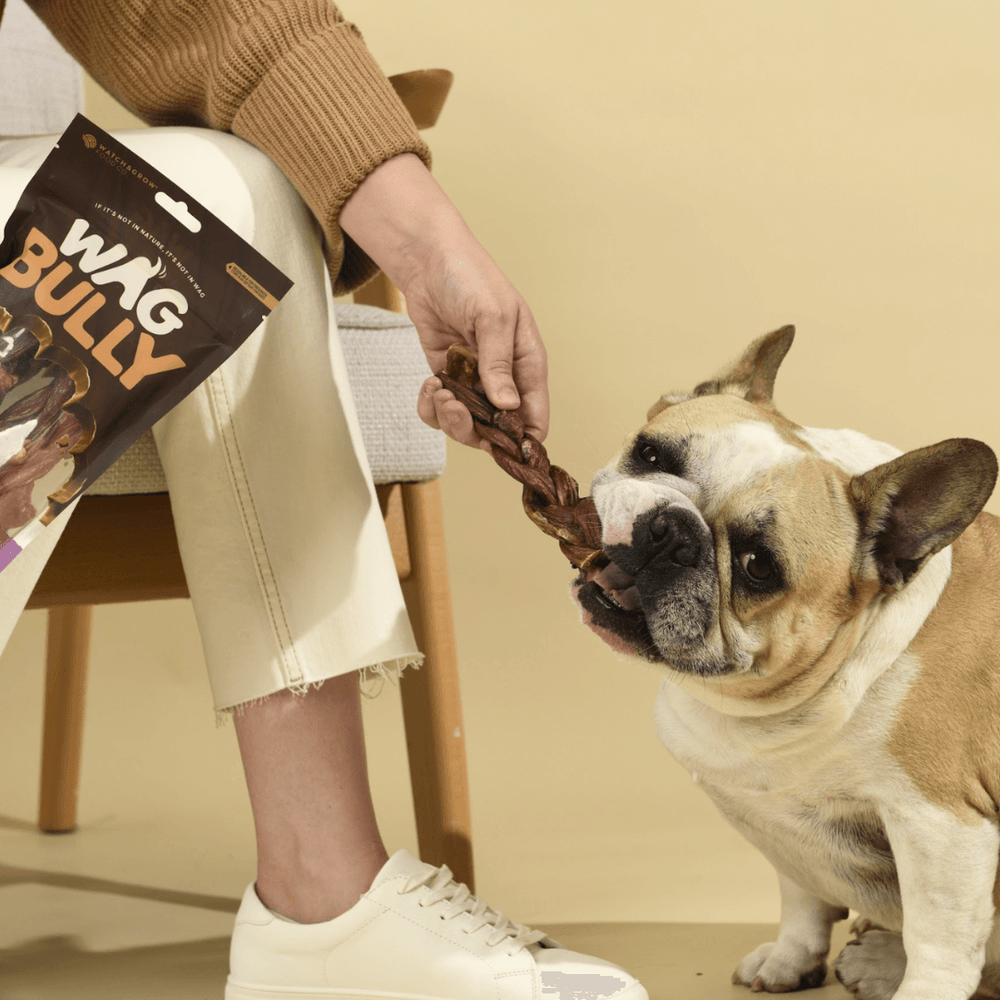 Braided Bully Stick 4 Pk