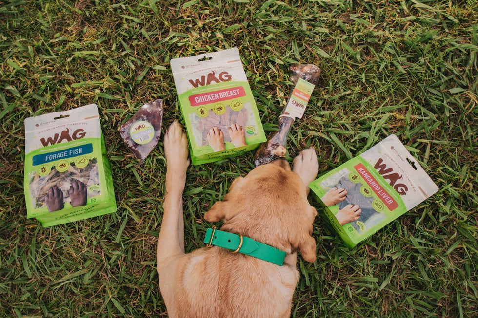 The Environmental Impact of Dog Treats