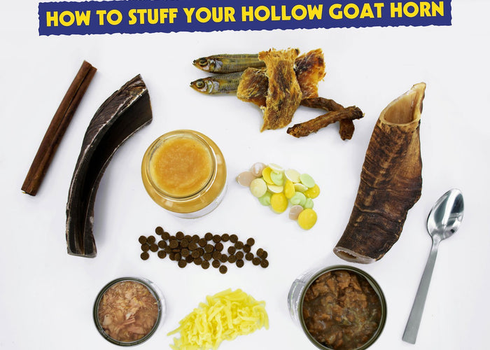 How to stuff your hollow Goat Horn