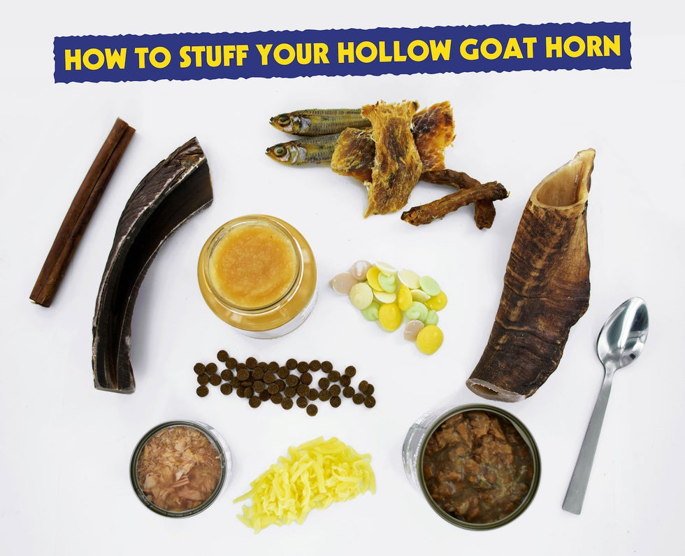 How to stuff your hollow Goat Horn