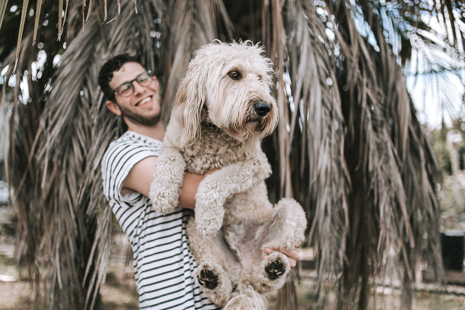 Celebrating International Dog Day: Stories From Dogs Around the World!