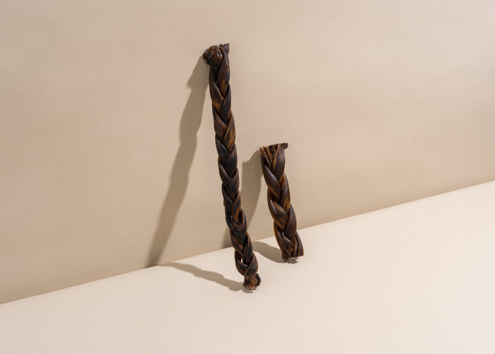 Inside the treat jar: What is a bully stick?
