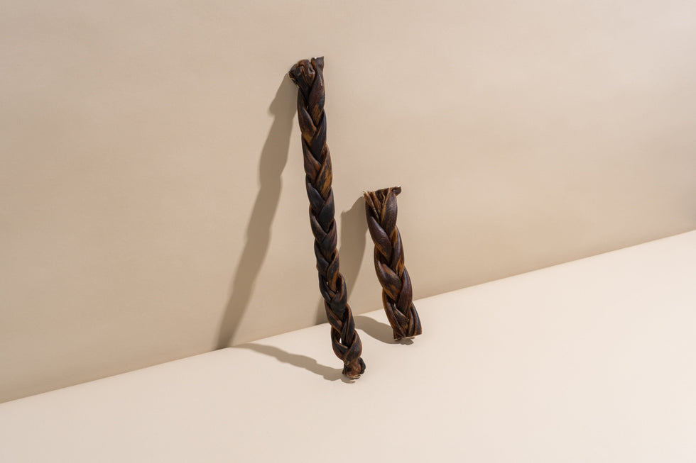 Inside the treat jar: What is a bully stick?