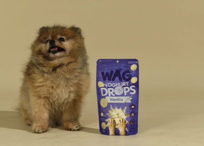 5 top training treats your dog can't resist