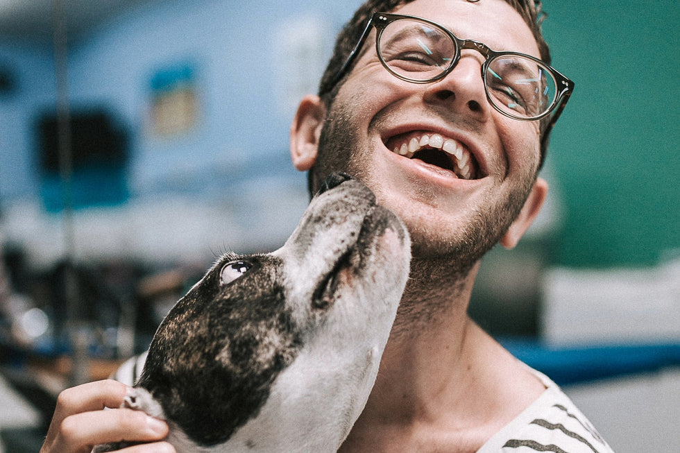 Why Do Dogs Lick You? The Reasons Behind the Slurp