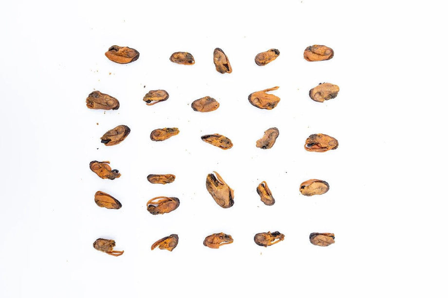 Are green lipped mussels good for dogs?