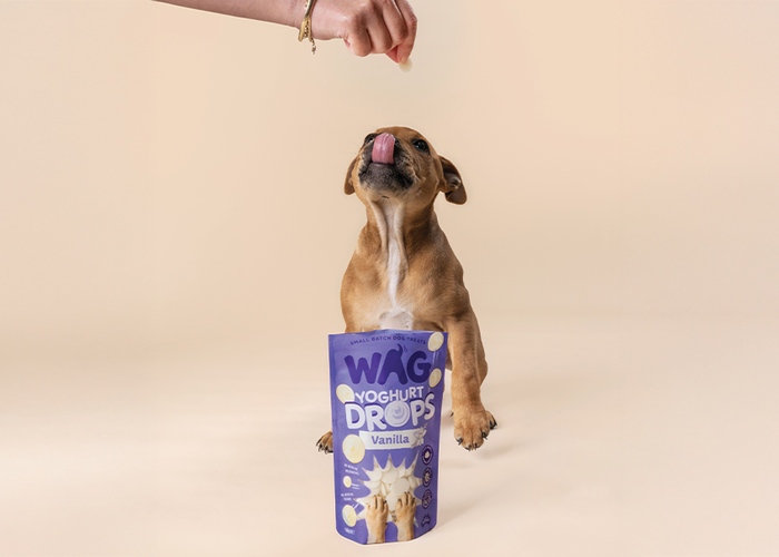 Sweet Recipes With WAG Yoghurt Drops