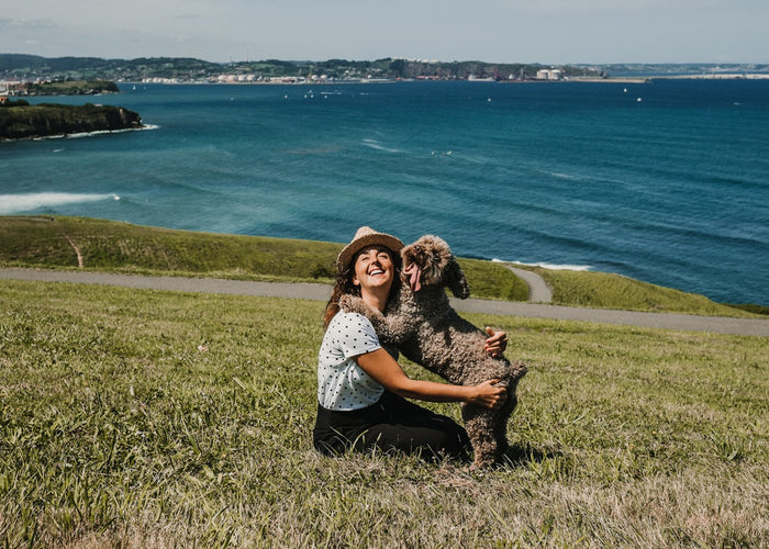 Heading into 2026? Here’s the dog care checklist every owner needs