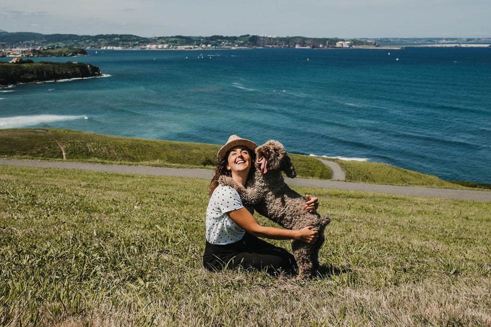 Heading into 2026? Here’s the dog care checklist every owner needs