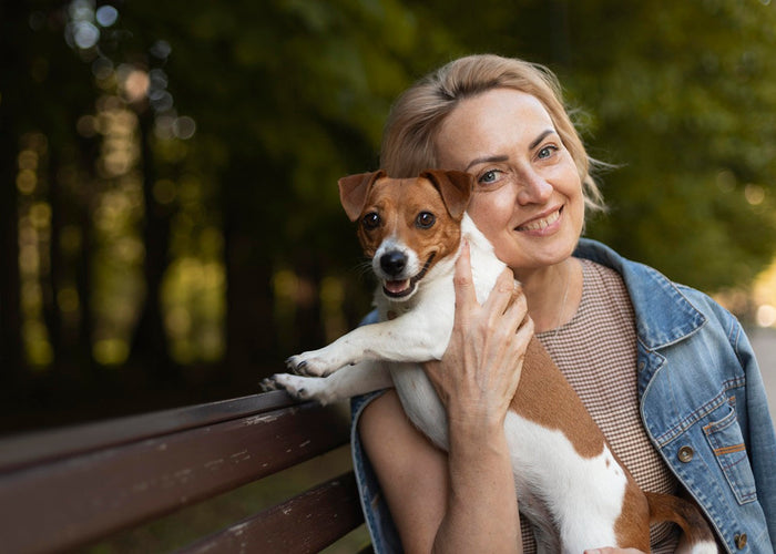 How to pamper your dog for National Love Your Pet Day