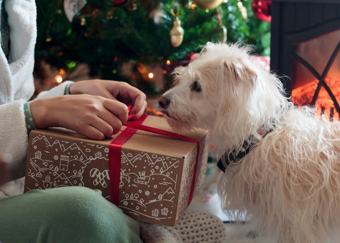 Christmas gifts for dog lovers in 2025