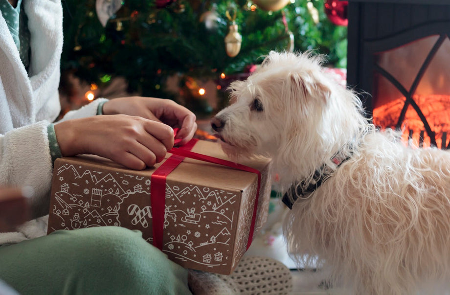 Christmas gifts for dog lovers in 2025