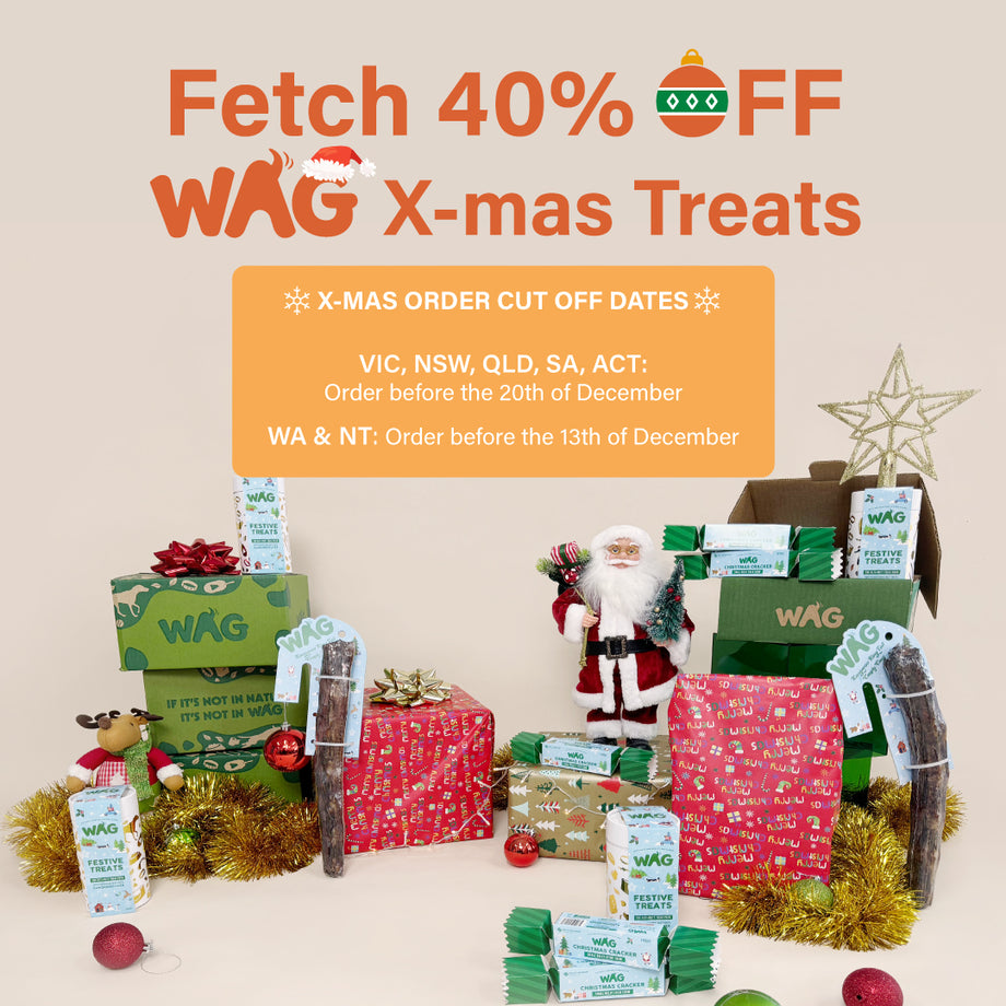 Fetch 40% OFF Christmas Treats