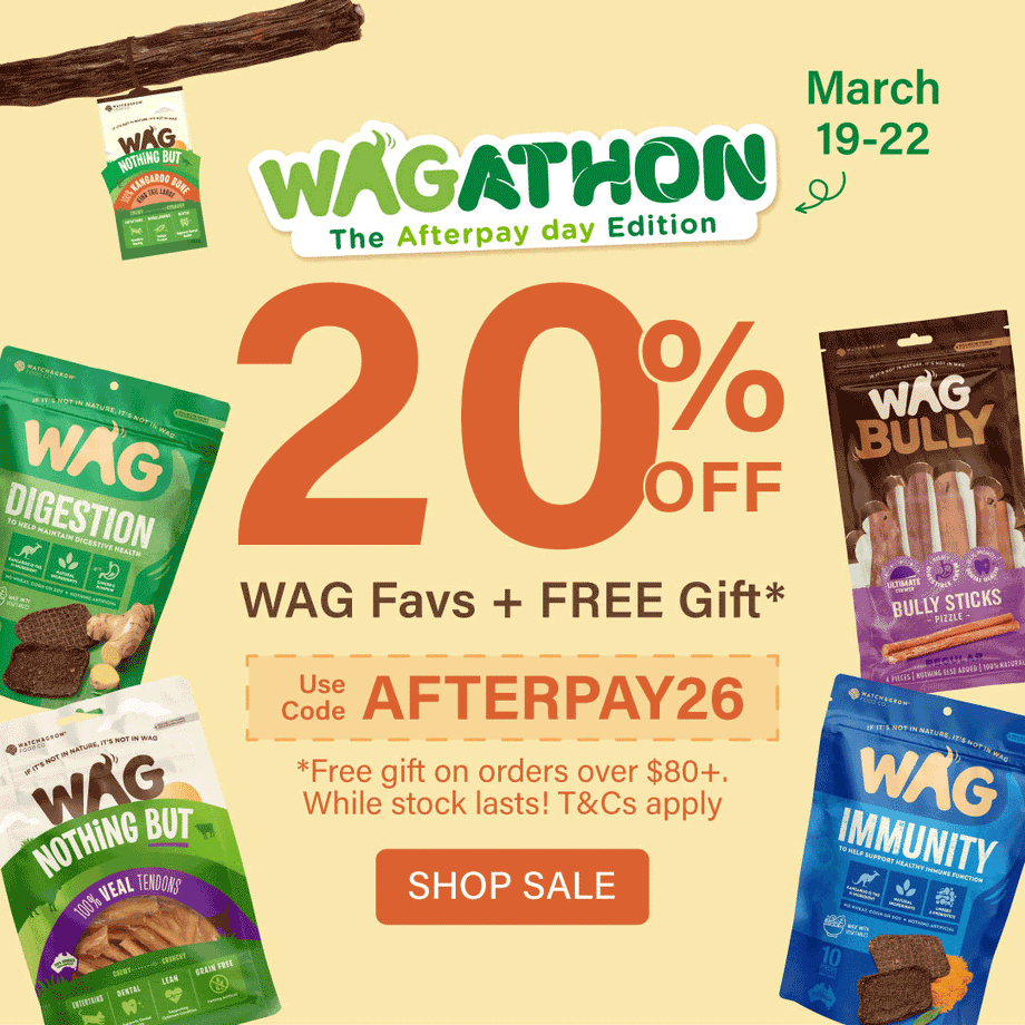 Fetch 20% off + free gift this Afterpay sale