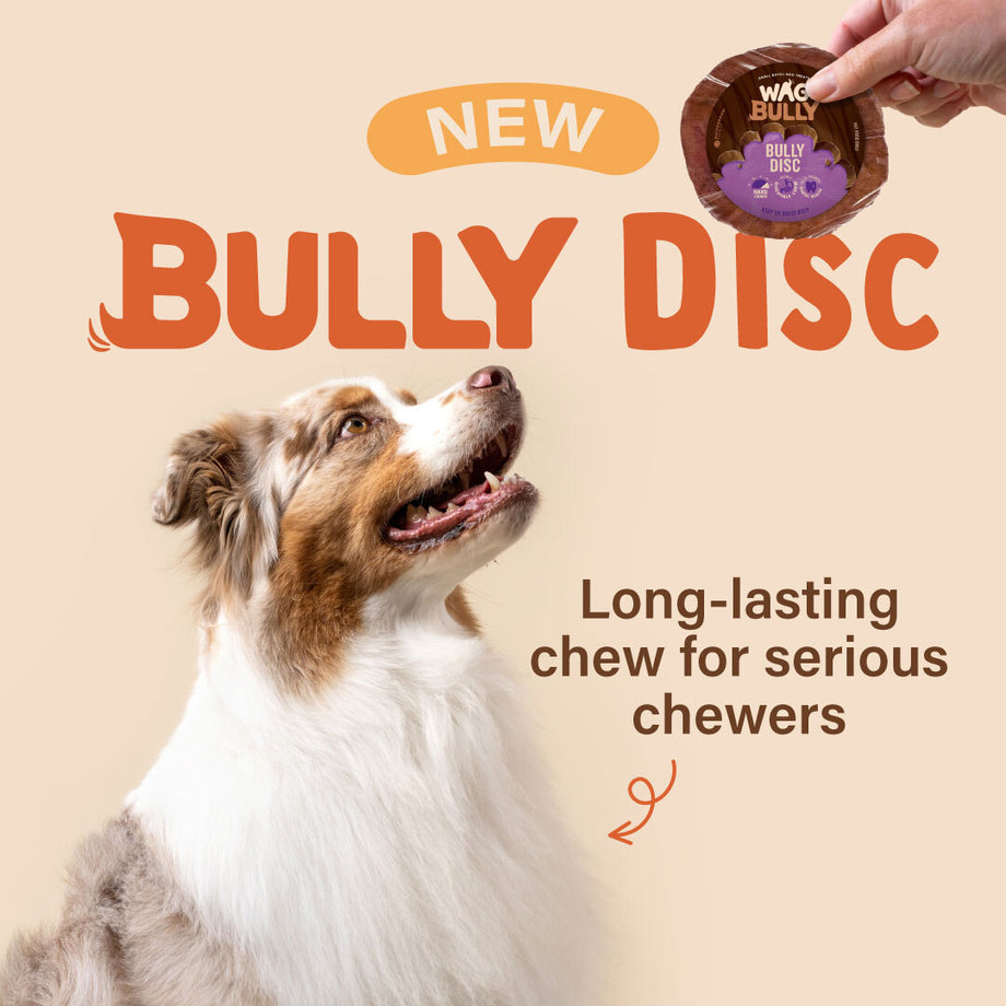 New Bully Disc. Long lasting chew for serious chewers