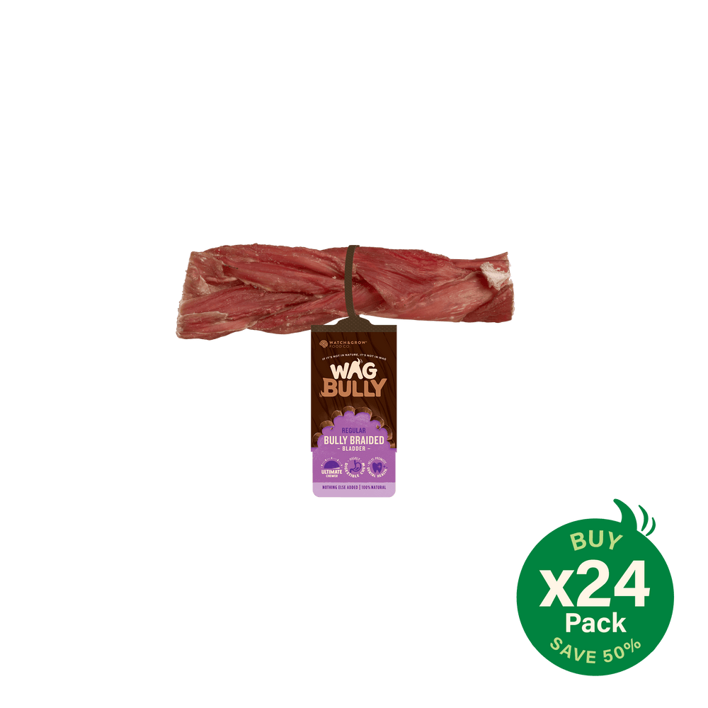 Braided Bully Stick Regular 24 Pack