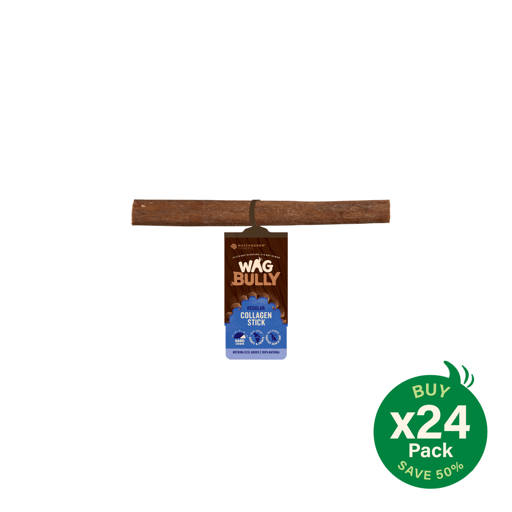 Collagen Stick 24 Pack
