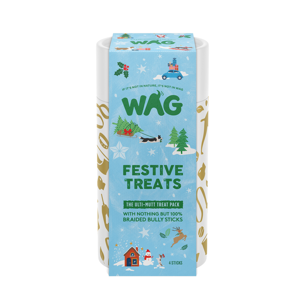 Braided Bully Festive Treats Tube