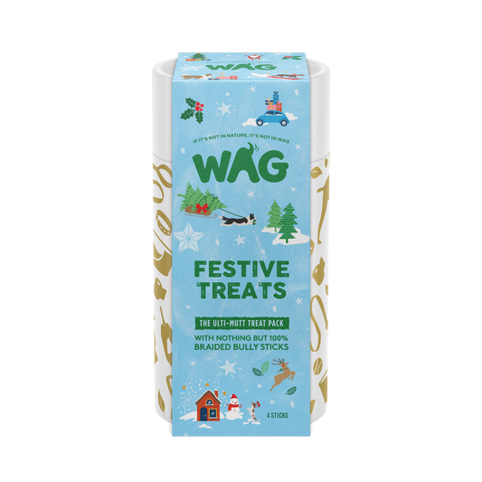 Braided Bully Festive Treats Tube