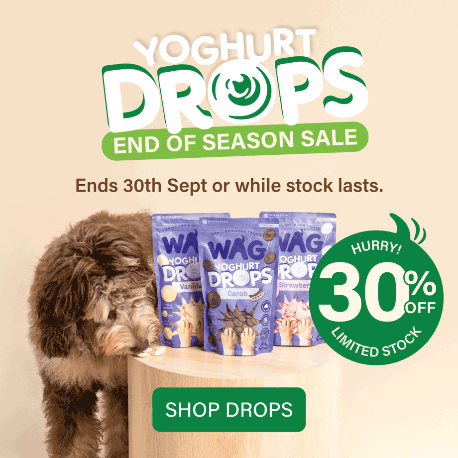 End Of Season: 30% OFF Yoghurt Drops