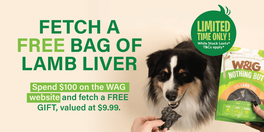 Fetch a free bag of lamb liver dog treat on all orders overs $100.