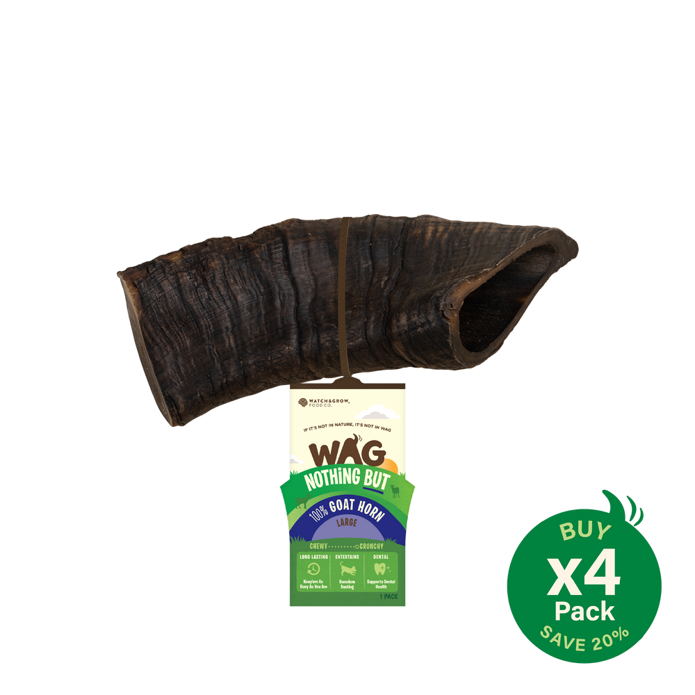 Goat Horn