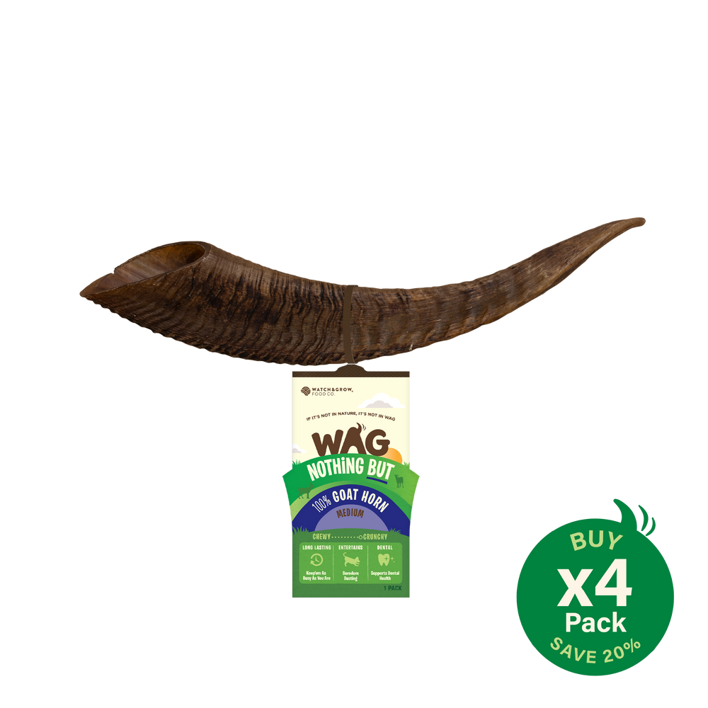 Goat Horn
