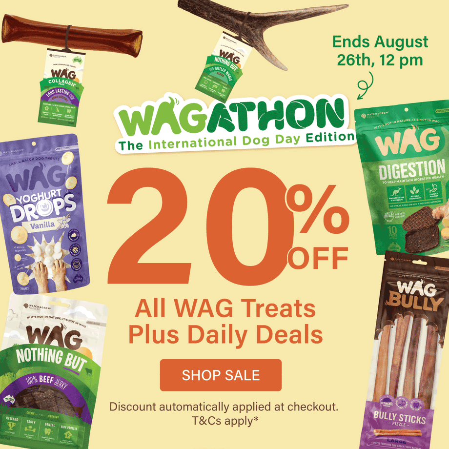 International Dog Day Sale 2026