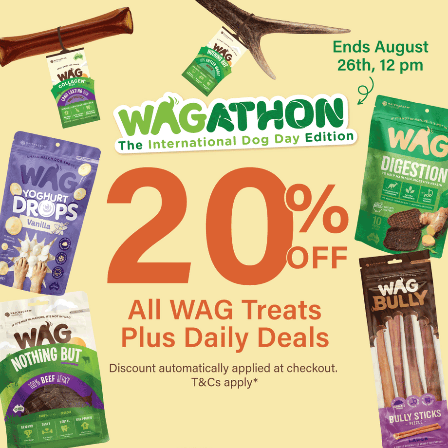 International Dog Day Sale 2026