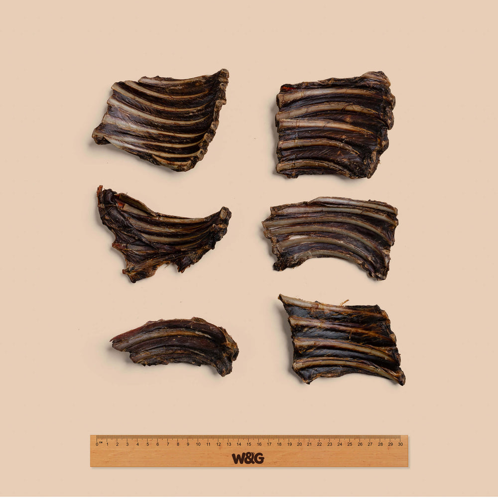 Kangaroo Ribs