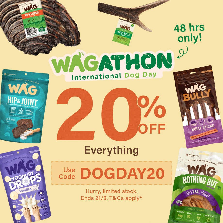 Wagathon International Dog Day Sale