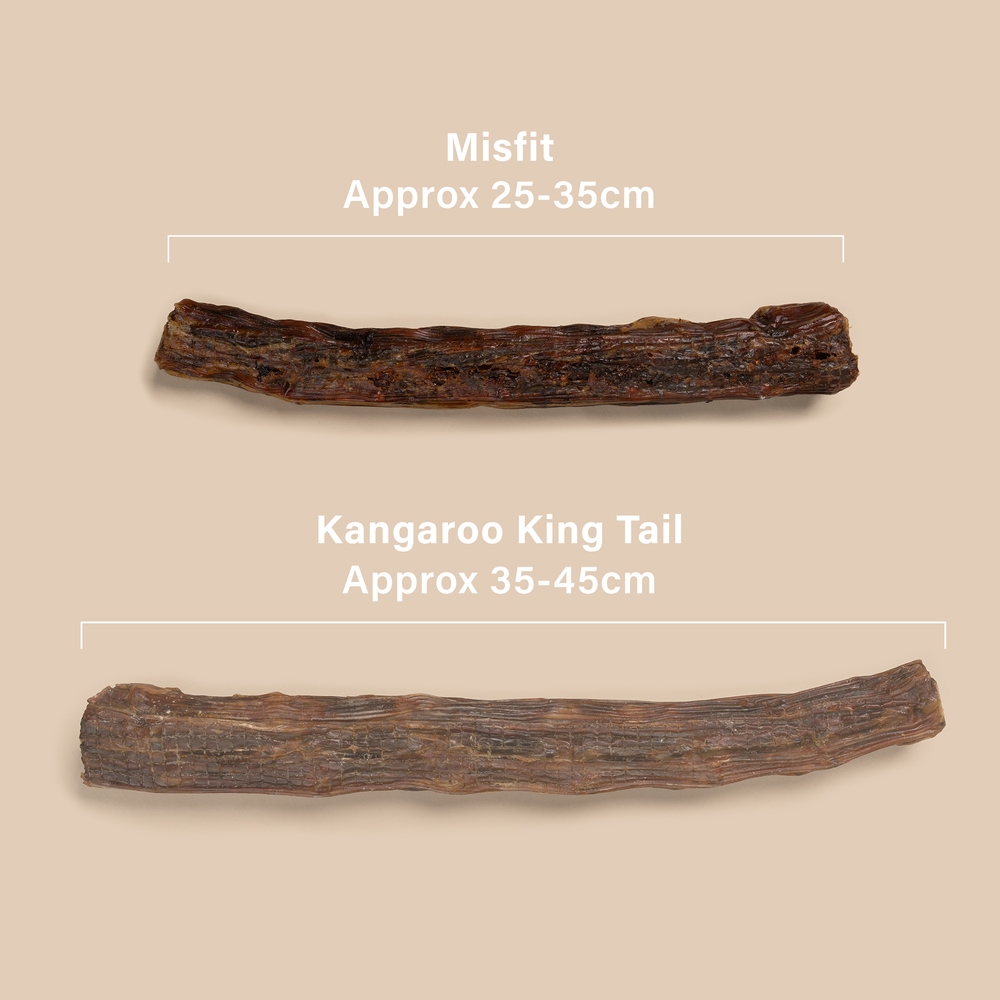 Kangaroo King Tail Mixed Sizes 4 Pack