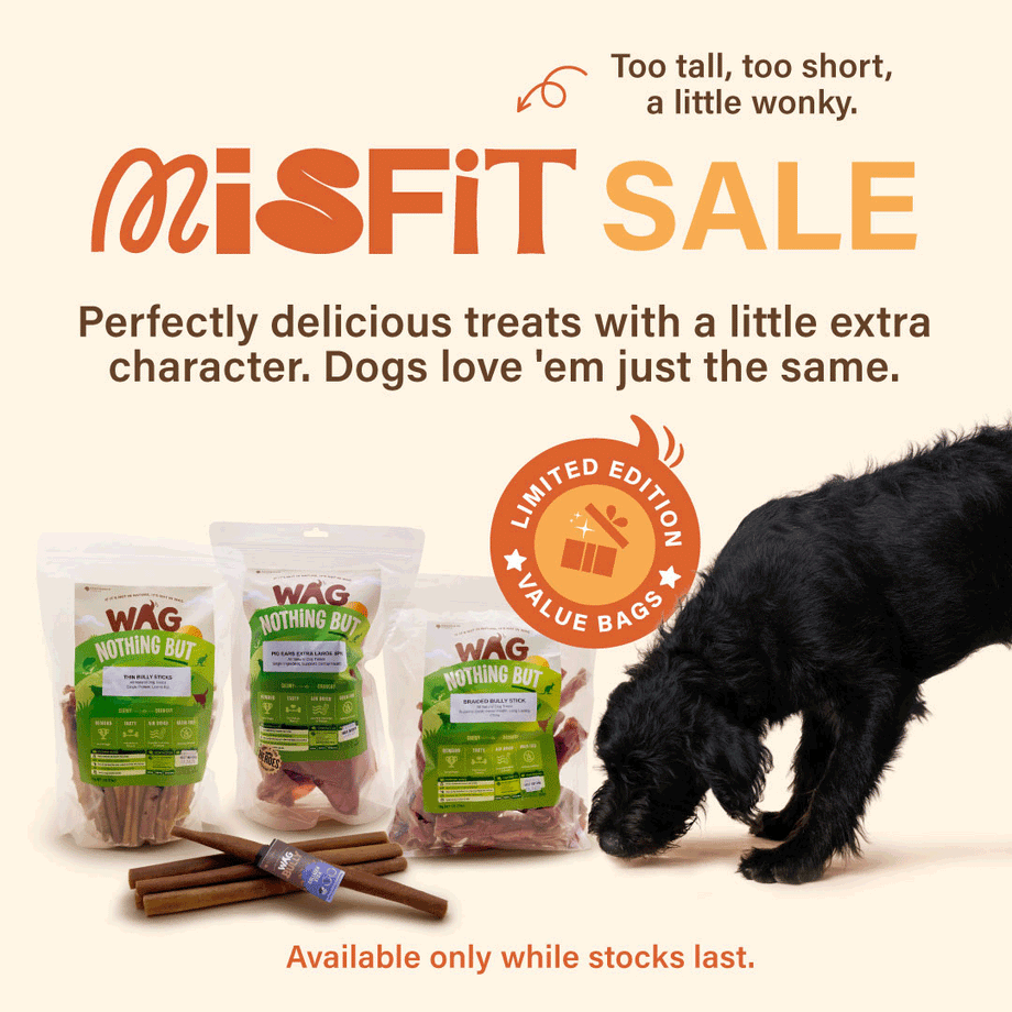 Dog Treats Bulk - Misfit Sale